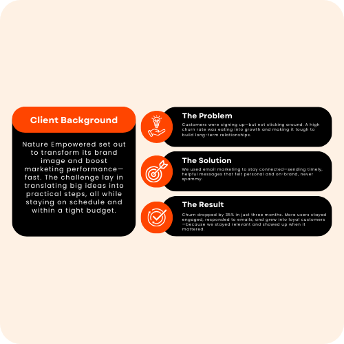 Home 11 Client Background And Marketing Solutions Overview